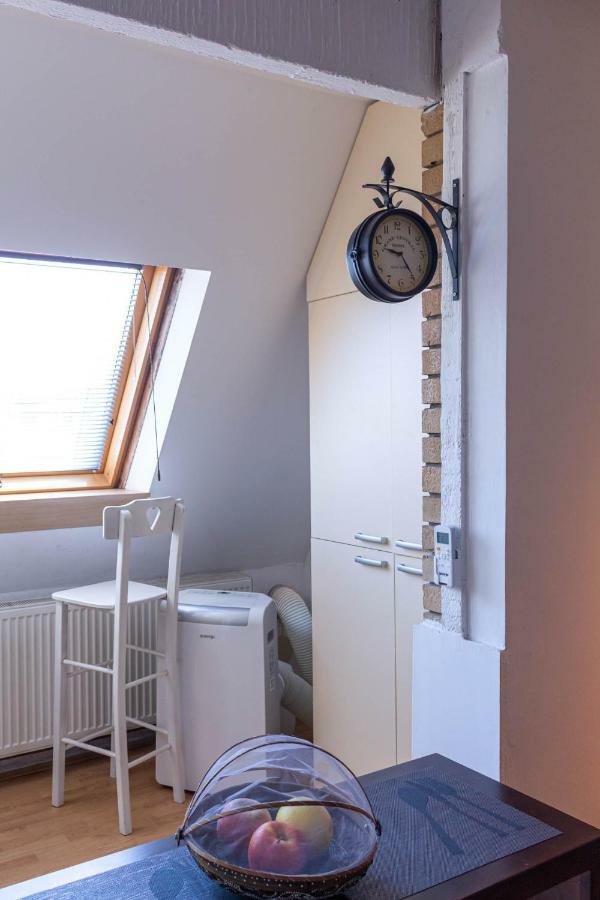Apartman "Soba Sa Pogledom" Golubac Exterior foto